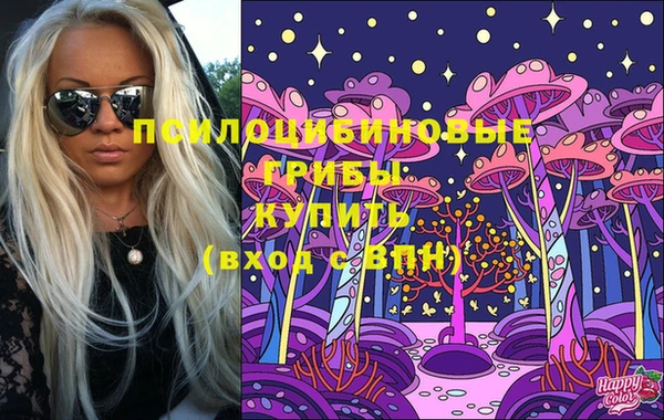 гидропоника Медвежьегорск