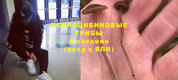 крисы Горно-Алтайск