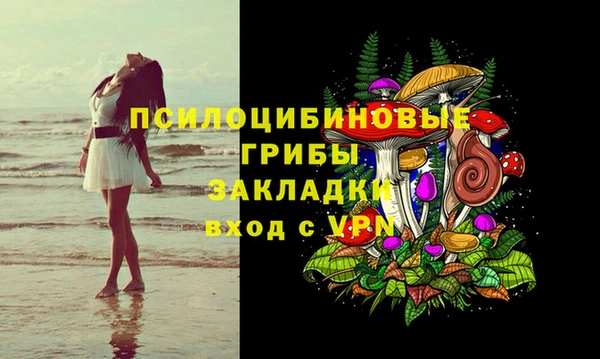 мдпв Магас