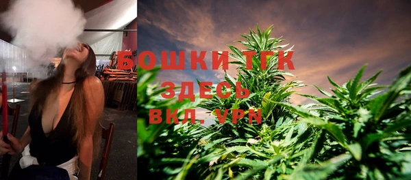 экстази Горняк