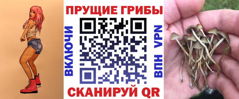 Псилоцибиновые грибы прущие грибы  ссылка на мегу маркетплейс  Обоянь 