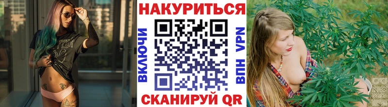 где найти   Обоянь  Конопля Amnesia 